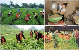 Hoàn thiện hồ sơ dự thảo điều chỉnh CTMTQG phát triển KT-XH vùng dân tộc thiểu số và miền núi