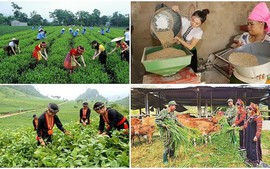 Chỉ đạo, điều hành của Chính phủ, Thủ tướng Chính phủ ngày 22/4/2025 (2)