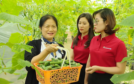 Dòng vốn ưu đãi 50.000 tỷ đồng từ Agribank: Tiếp sức sản xuất, đồng hành cùng triệu hộ kinh doanh
