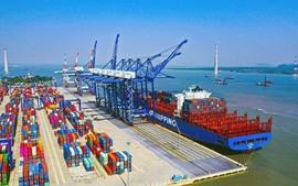 Đề xuất quy định mới về tổ chức, hoạt động của Cảng vụ hàng hải, Cảng vụ đường thủy nội địa