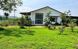 Tài sản gắn liền với đất gồm những gì?