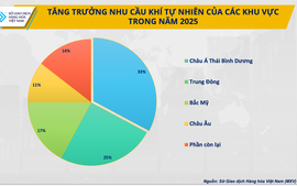 Thị trường LNG thế giới: Sóng ngầm sau đợt hạ nhiệt