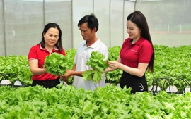 Agribank góp phần thúc đẩy kinh tế tư nhân