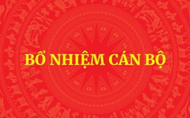 Thủ tướng bổ nhiệm lãnh đạo Bộ Quốc phòng và Trợ lý Phó Thủ tướng Chính phủ