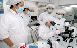 Quy định chế độ, chính sách đối với chuyên gia cao cấp