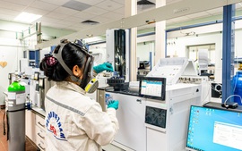 BSR: Doanh nghiệp Việt đầu tiên được cấp đồng thời 2 chứng nhận quan trọng về phát triển bền vững