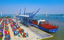 Chỉ đạo, điều hành của Chính phủ, Thủ tướng Chính phủ ngày 04/4/2025 (2)