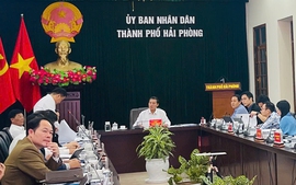 Cần sớm 'gỡ vướng' cho loạt dự án truyền tải điện tại thành phố Hải Phòng