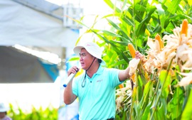 Ứng dụng công nghệ sinh học thúc đẩy khoa học chọn tạo giống
