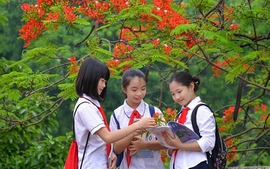 Thủ tướng chỉ đạo 3 vấn đề nóng trong giáo dục