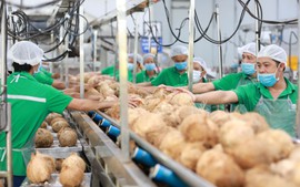Hợp lực xây dựng chuỗi giá trị nông nghiệp tuần hoàn