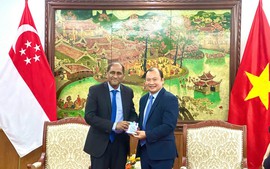 Việt Nam - Singapore: Tăng cường hợp tác văn hóa, thể thao, du lịch và thông tin
