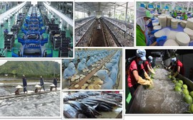 Tổng Bí thư Tô Lâm và tư duy lý luận mới về kinh tế tư nhân