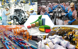 Chỉ đạo, điều hành của Chính phủ, Thủ tướng Chính phủ ngày 16/5/2025