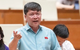 'Luồng gió thổi cánh diều kinh tế tư nhân bay xa'