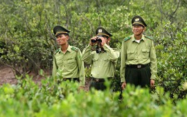 Kiểm lâm viên có thuộc đối tượng được nghỉ hưu trước tuổi?