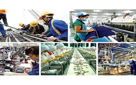 Kế hoạch hành động của Chính phủ về phát triển kinh tế tư nhân