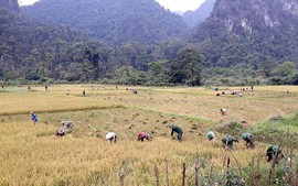 Giám sát chặt nguồn nước để ứng phó khô hạn, đảm bảo sản xuất