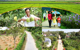 Công nhận 4 huyện về đích nông thôn mới