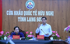 Phó Thủ tướng Bùi Thanh Sơn kiểm tra công tác chống buôn lậu tại Lạng Sơn