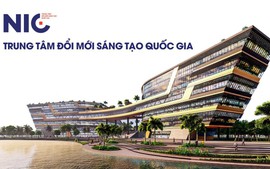 Chỉ đạo, điều hành của Chính phủ, Thủ tướng Chính phủ ngày 5/5/2025