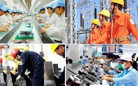 Hướng dẫn quản lý lao động, tiền lương, thù lao, tiền thưởng doanh nghiệp nhà nước
