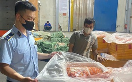 Phát hiện kho đông lạnh chứa hơn 7 tấn nội tạng không rõ nguồn gốc