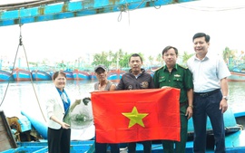 Bình Định: Xem xét cấm biển vô thời hạn tàu cá chây ì trong chống khai thác IUU