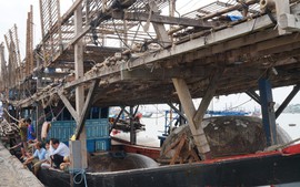 Quảng Nam tăng tốc chống khai thác IUU, sẵn sàng đón Đoàn thanh tra EC lần thứ 5