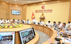 Thúc đẩy thực hiện các thỏa thuận thương mại với Hoa Kỳ