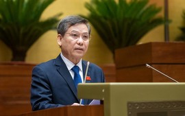 Đề xuất thành lập Tòa án nhân dân khu vực, Tòa chuyên trách về Phá sản, Sở hữu trí tuệ