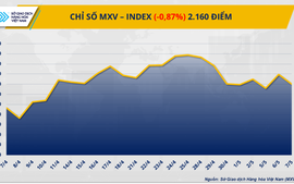 Lực bán mạnh trên thị trường đẩy MXV-Index rơi 19 điểm