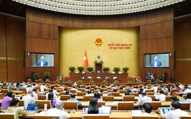 Áp thuế tiêu thụ đặc biệt nước giải khát có đường, khi đã có đủ cơ sở, lộ trình hợp lý