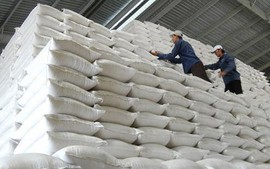 Quy định mới về phân quyền, phân cấp trong lĩnh vực dự trữ quốc gia