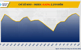 Lực bán mạnh quay lại, MXV-Index chấm dứt chuỗi tăng điểm