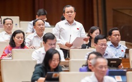 Nâng mức xử phạt hành chính cần cân nhắc thận trọng, kỹ lưỡng