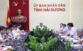 Hải Dương:Tập trung đáp ứng tiến độ bàn giao mặt bằng 2 dự án truyền tải cấp bách