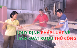 Trình tự, thủ tục cấp Giấy phép sản xuất, bán lẻ rượu từ 1/7/2025