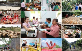 Xây dựng Đảng bộ NHCSXH Trung ương vững mạnh toàn diện, đồng hành cùng đất nước