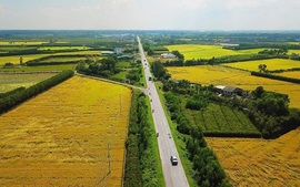Thủ tục, hồ sơ đăng ký đất đai, tài sản gắn liền với đất, hồ sơ địa chính
