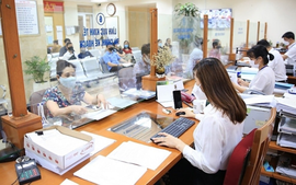 Quy định tổ chức các cơ quan chuyên môn thuộc UBND tỉnh, xã