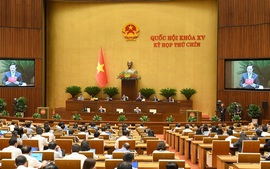 Bảo đảm tính ổn định, lâu dài của Hiến pháp