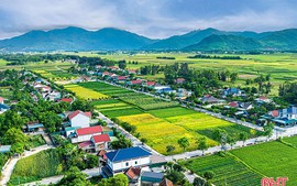 3 huyện, thị xã về đích nông thôn mới