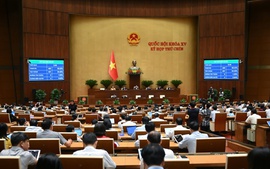 Quốc hội biểu quyết thông qua Luật Nhà giáo