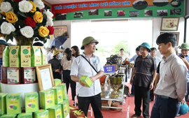 Huyện Thường Tín (TP Hà Nội) đạt chuẩn nông thôn mới nâng cao