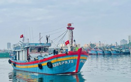 Đà Nẵng siết chặt quản lý 147 tàu cá chưa đủ điều kiện hoạt động