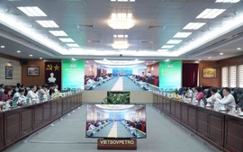 Đảng ủy Chính phủ khảo sát thực tiễn mô hình tổ chức đảng tại Petrovietnam