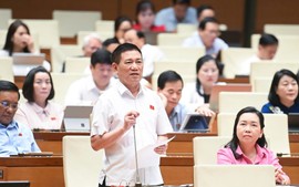 Phó Thủ tướng Hồ Đức Phớc: Nên áp dụng thuế khoán đối với hộ kinh doanh, buôn bán nhỏ, doanh thu dưới 1 tỷ đồng