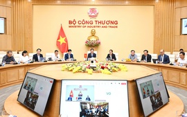 Việt Nam và Hoa Kỳ đàm phán trực tuyến cấp bộ trưởng về thương mại đối ứng