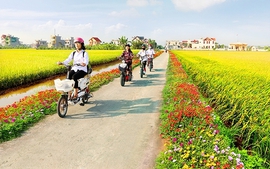 Chỉ đạo, điều hành của Chính phủ, Thủ tướng Chính phủ ngày 22/6/2025